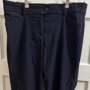 ⭐️Lane Bryant, Navy blue pants, 14P, straight leg